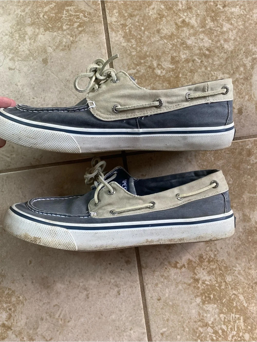 Sperry Men's Two-Tone Canvas Boat Shoes in Navy and Tan